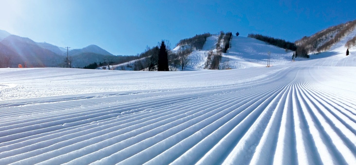 朝の、圧雪されたばかりのゲレンデ
