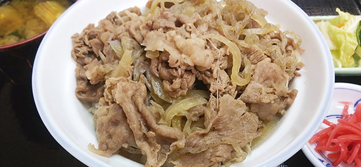 Hida beef bowl